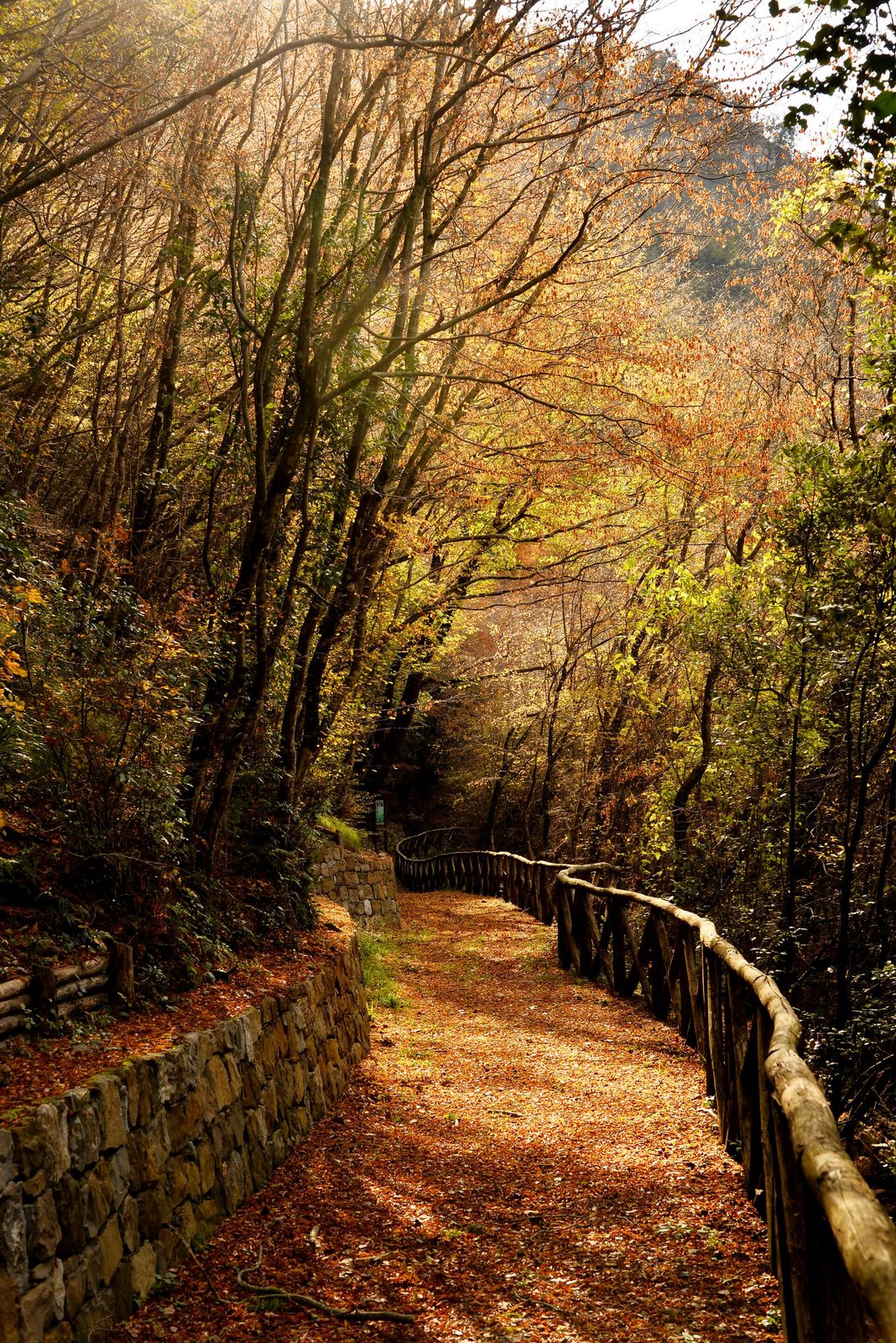 Camminate nel Parco del Cilento: 3 sentieri adatti a tutti (con viste spettacolari)
